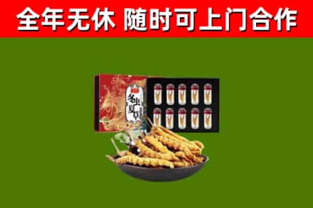 温市烟酒回收冬虫夏草礼盒.jpg